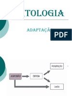 Adaptação+2022