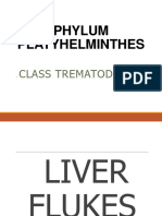 3.4 Liver and Intestinal Flukes