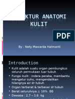 Struktur Anatomi Kulit