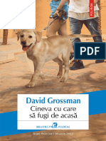 David Grossman - Cineva Cu Care Sa Fugi de Acasă