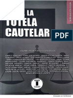 Rasgos Generales de La Tutela Cautelar