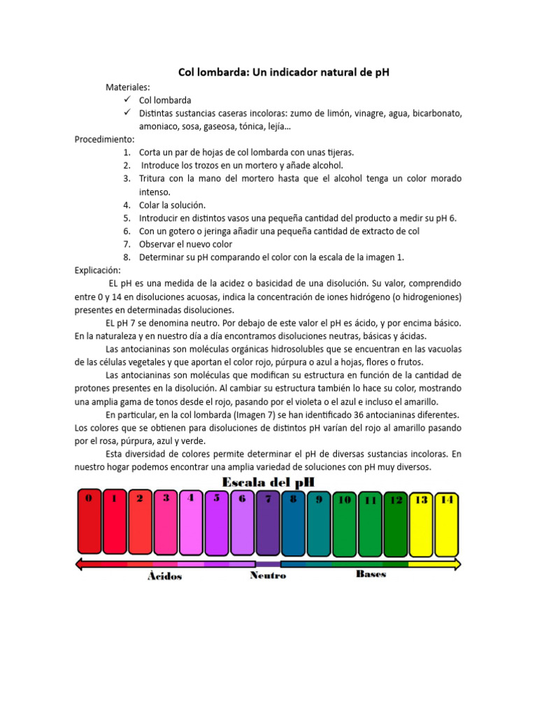 Escala de pH con col lombarda | PDF