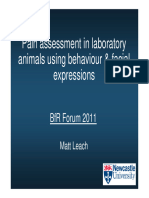 Pain Assessment in Laboratory Animals Using Behaviour and Facial Expressions
