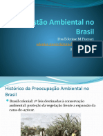 Questão Ambiental No Brasil