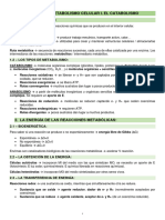 BIOLOGÍA 2ºBACH APUNTES TEMA 7 - Metabolismo Celular I. Catabolismo