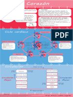 Infografia Corazón 