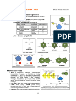 13 Els Ã Cids Nucleics