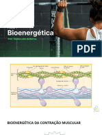 Aula 1 - Bioenergética