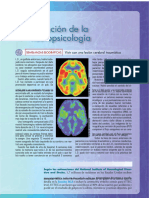 PDF Neuropsicologia Humana 7a Edicion Bryan Kolb Compress
