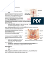 Obstetrics and Gynecology Notes 2-1 (AutoRecovered)