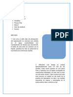 Informe Laboratorio BCM - Mitosis