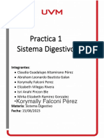 Practica 1 Sistema Digestivo 2