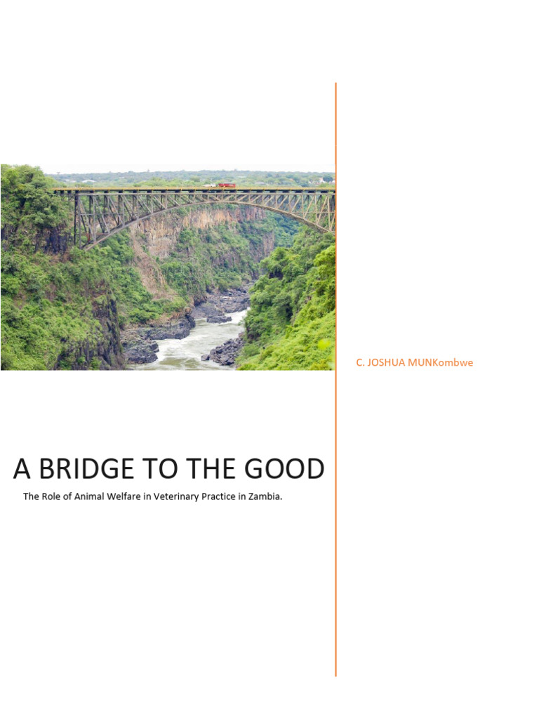 Essay Role of Animal Welfare in Vet' Practice in Zambia PDF