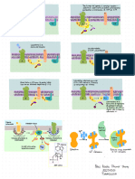 Tarea 1