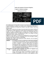 Tarea 4. Img. Pediatrica