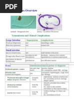 Download Nematodes by Gio Magugat SN67435275 doc pdf