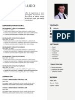 Descargar Modelo Curriculum Vitae Laboral Sencillo para Rellenar