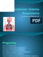 Sistema Respiratorio Completo