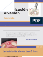 Cicatrizacion Alveolar