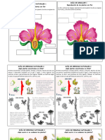 GUIAS CIENCIAS Naturales