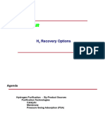 H2 Recovery Options