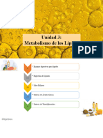 BioquímicaMédica Lípidos1 Mayra