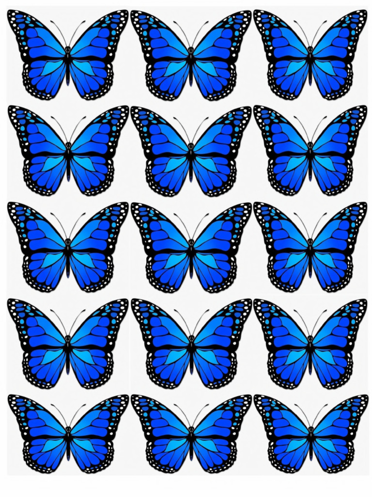 Mariposas Azul Rey | PDF, image size:768x1024