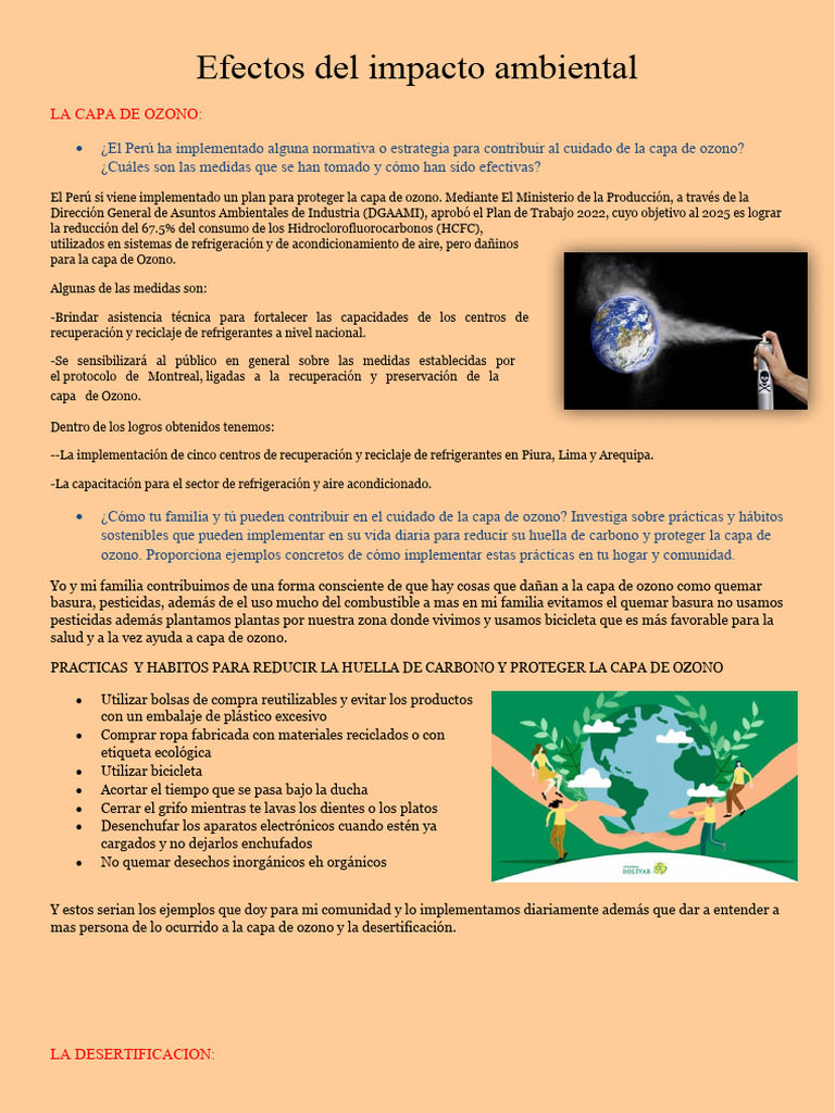Efectos Del Impacto Ambiental - TS10 | PDF