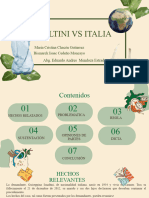 Smaltini Vs Italia