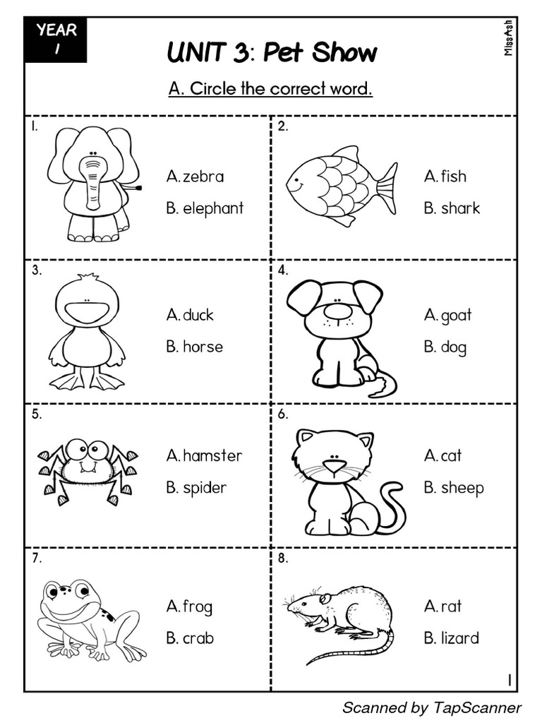 Quiz year 1 pdf