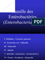 9_-_entérobactéries_1