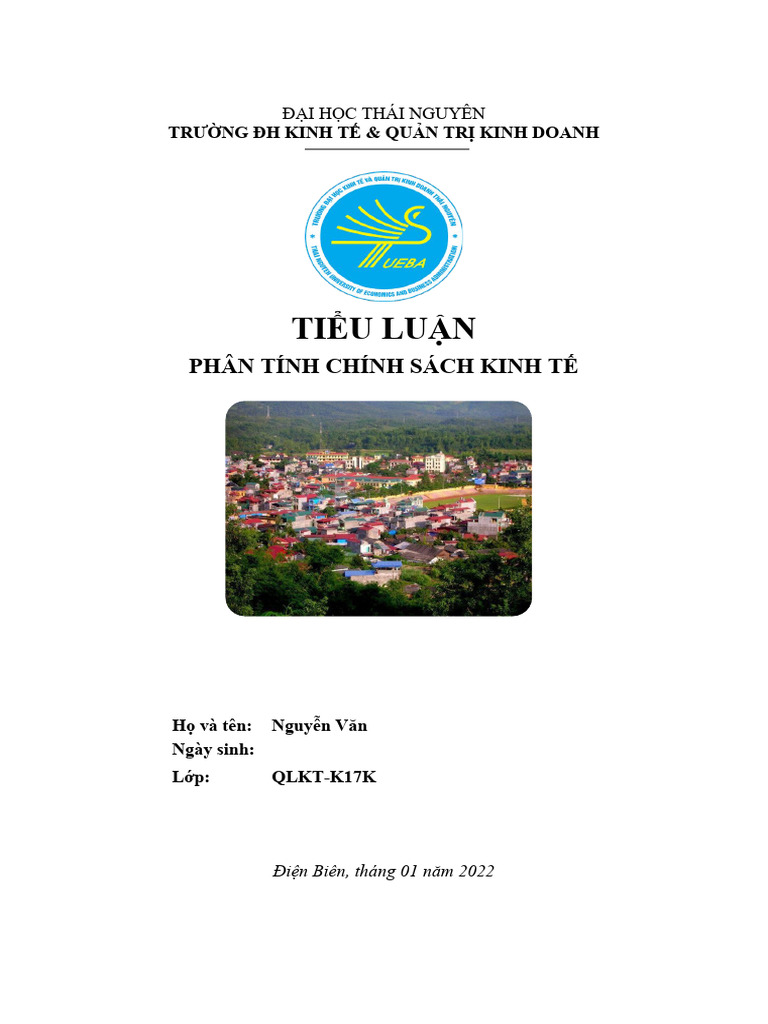 Tieu luan phan tich kinh te pdf