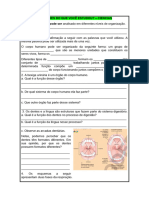 Atividades de Ciencias 28-06-2023