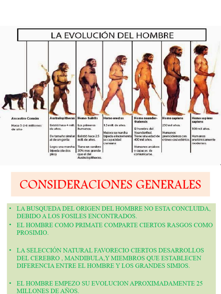6-3 Evolucion Del Hombre | PDF