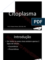 Citoplasma 20112