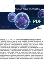 Introduccion Fundamental de La Neurociencia para Docentes PDF Luis Bravo
