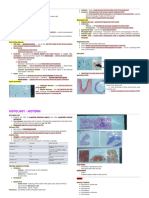 Histology - Midterm