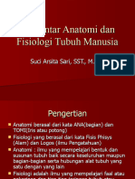 Konsep Dasar Anfis