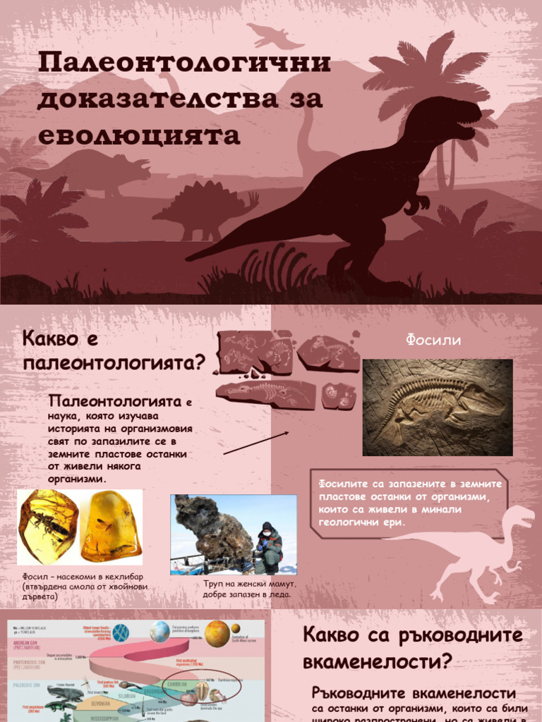 Палеонтологични доказателства за еволюцията | PDF