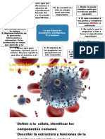 El Mundo de La Célula - 22