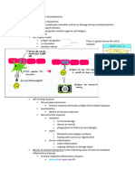 28 Immune Tolerance