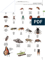 NewDicoVisuel Partie12