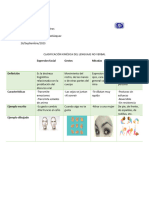 Clasificación Del Lenguaje No Ver