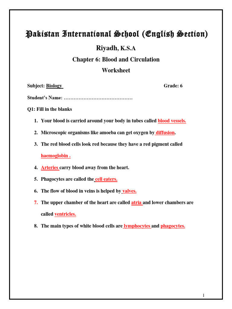 grade-6-blood-and-circulation-worksheet-answer-key-pdf-heart