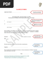 Irish Passport Identity Verification Form | PDF | Signature | National ...