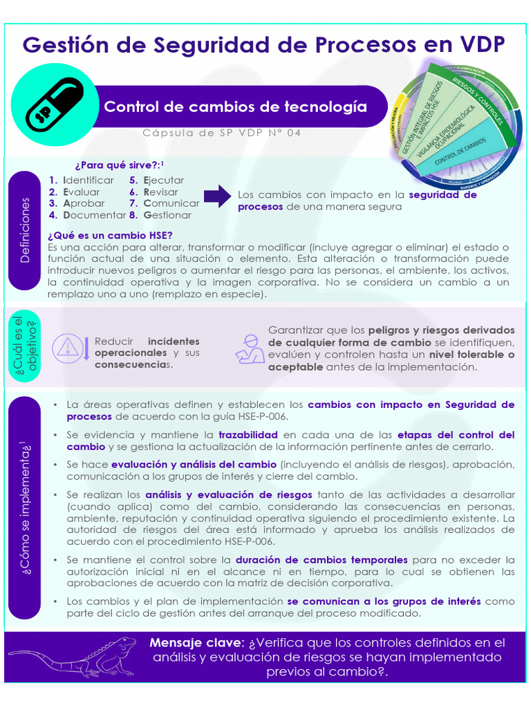 Cápsula SP VDP_04_Control de cambios de tecnología | PDF