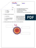 Anexo Ciencia La Fecundacion