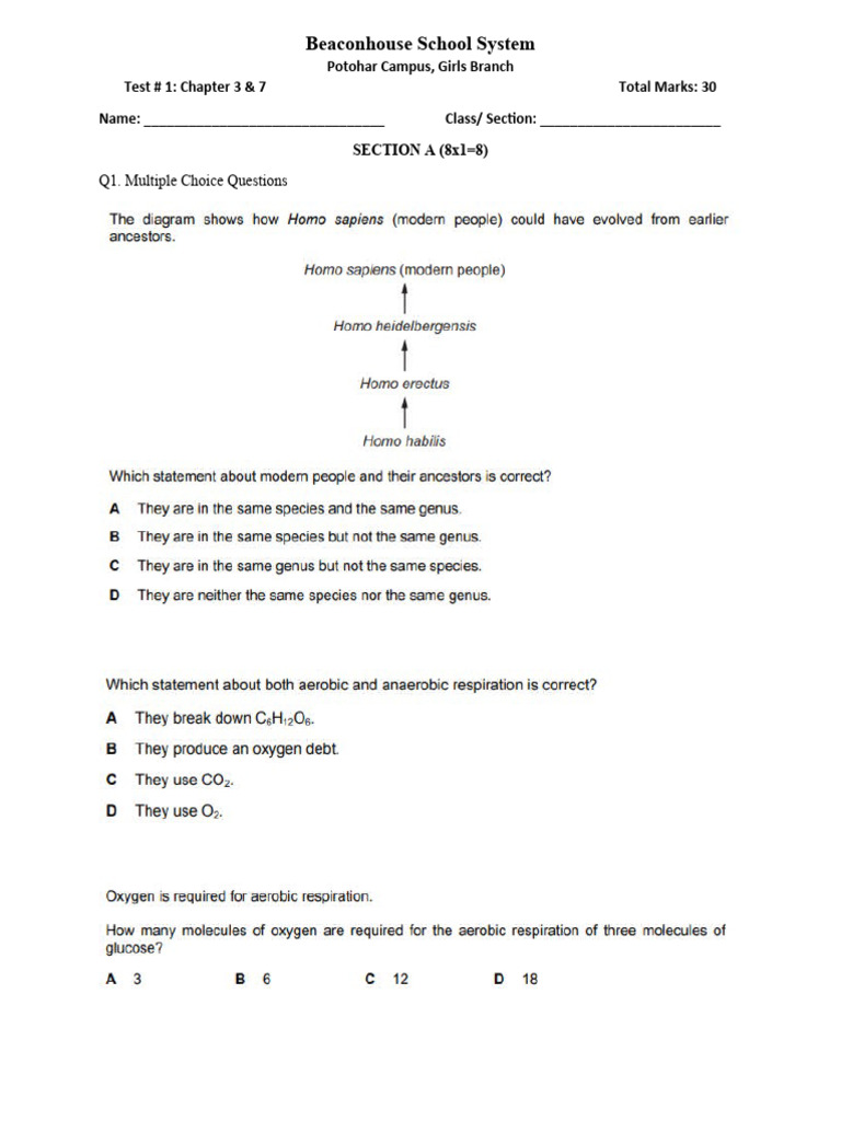 Beaconhouse School System Q1. Multiple Choice Questions PDF