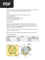 Revisão de Biologia