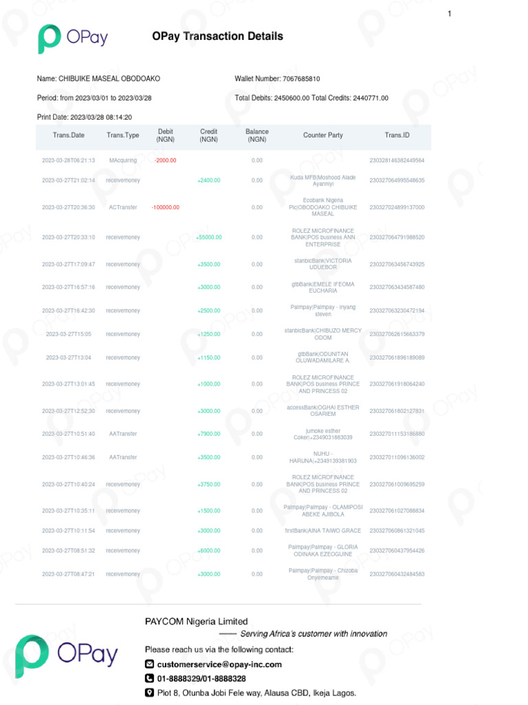 Opay Transaction Summary for 2023 | PDF | Financial Services